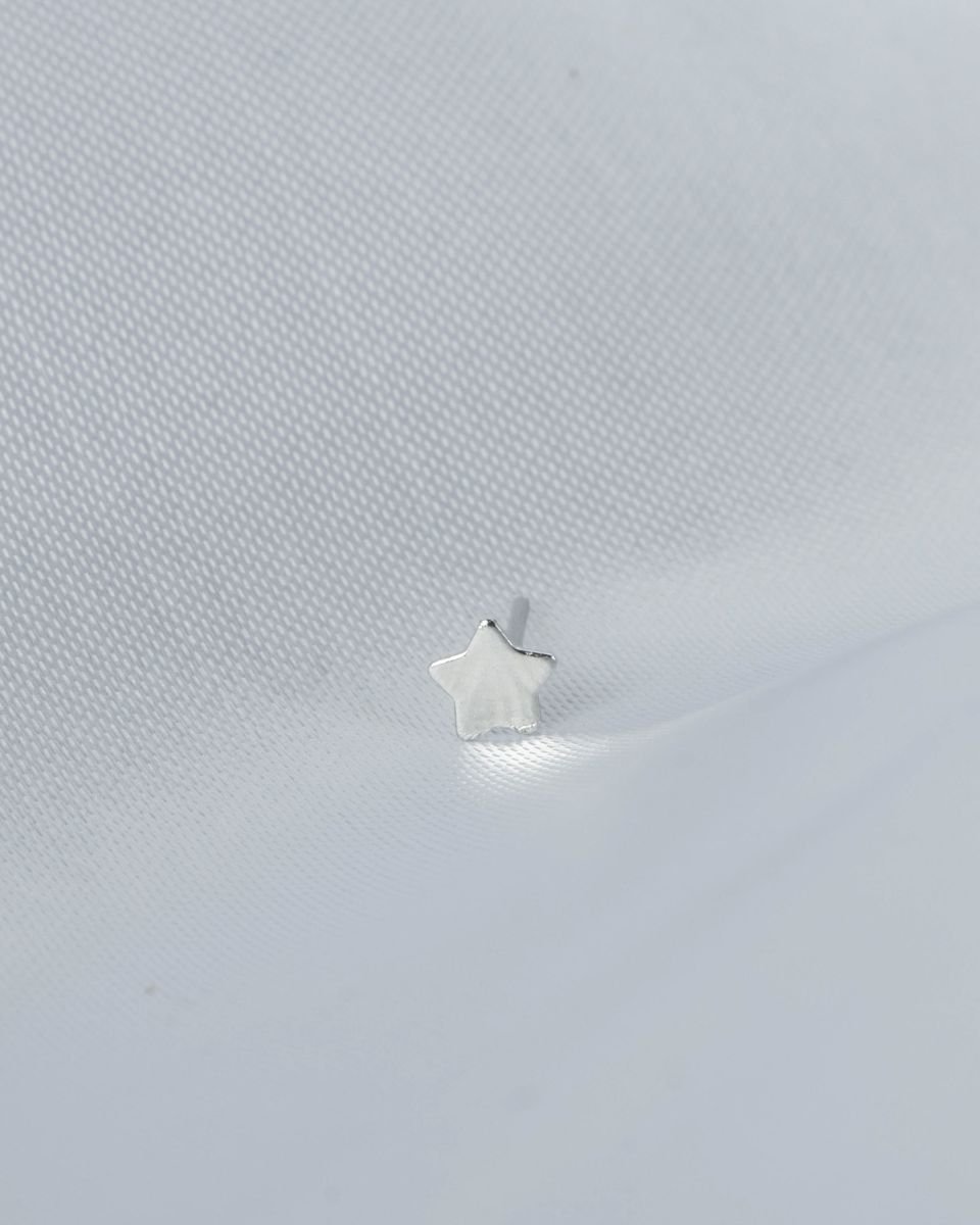 Brinco Inox Estrela 5mm